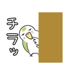 我が家のトリです。インコです。（個別スタンプ：20）