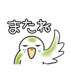 我が家のトリです。インコです。（個別スタンプ：32）