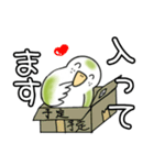 我が家のトリです。インコです。（個別スタンプ：33）