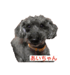 あいらぶしょう（個別スタンプ：1）