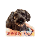 あいらぶしょう（個別スタンプ：5）