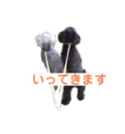 あいらぶしょう（個別スタンプ：13）