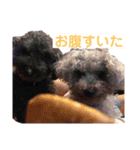 あいらぶしょう（個別スタンプ：14）