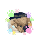 ゆいP☺️（個別スタンプ：6）