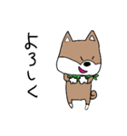 柴犬のなちゅらくん。（個別スタンプ：2）