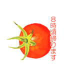 野菜伝言（個別スタンプ：28）