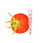 野菜伝言（個別スタンプ：31）