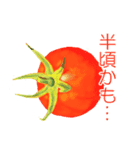 野菜伝言（個別スタンプ：33）