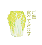 野菜伝言（個別スタンプ：37）