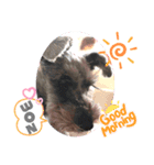 らんらんちゃんのスタンプ（個別スタンプ：2）