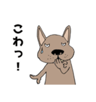 ちょい悪犬のフレブル兄弟（個別スタンプ：14）