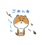 柴犬こまつのまんぷくの秋（個別スタンプ：13）