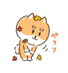 柴犬こまつのまんぷくの秋（個別スタンプ：19）