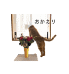 バロンの日常スタンプ2（個別スタンプ：5）