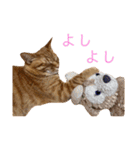 バロンの日常スタンプ2（個別スタンプ：22）