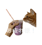 バロンの日常スタンプ2（個別スタンプ：29）