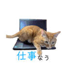 バロンの日常スタンプ2（個別スタンプ：32）