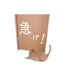 バロンの日常スタンプ2（個別スタンプ：39）