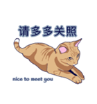 ネッコネコ台湾語2（個別スタンプ：4）