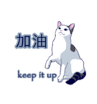 ネッコネコ台湾語2（個別スタンプ：5）