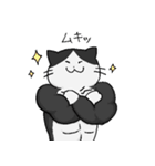 もちねこたち（個別スタンプ：16）