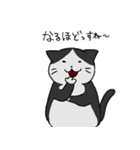 もちねこたち（個別スタンプ：17）