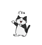 もちねこたち（個別スタンプ：19）