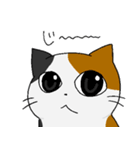 もちねこたち（個別スタンプ：24）