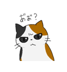 もちねこたち（個別スタンプ：25）