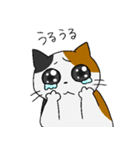 もちねこたち（個別スタンプ：26）