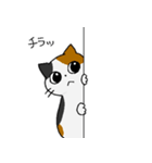 もちねこたち（個別スタンプ：29）