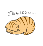 もちねこたち（個別スタンプ：38）