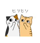 もちねこたち（個別スタンプ：40）