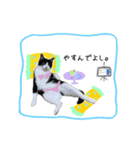 きじしろさんとはちわれさん（個別スタンプ：8）