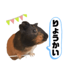 もりぞうくん。（個別スタンプ：7）