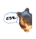 もりぞうくん。（個別スタンプ：15）