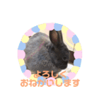うさぎのハイミー（個別スタンプ：9）