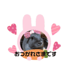 うさぎのハイミー（個別スタンプ：13）