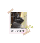 うさぎのハイミー（個別スタンプ：21）