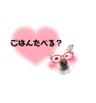 KONAちゃん①（個別スタンプ：3）