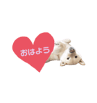 KONAちゃん①（個別スタンプ：6）