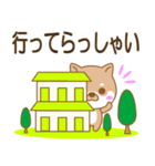 まみんこの毎日使える柴犬スタンプ（個別スタンプ：20）