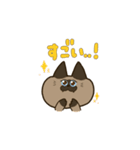 シャム猫ナナ（個別スタンプ：13）