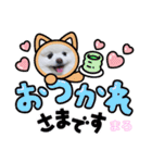 ポメラニアンまろ（個別スタンプ：3）