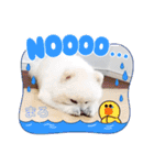 ポメラニアンまろ（個別スタンプ：13）