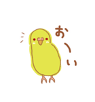 ルチノーセキセイの使いやすいスタンプ（個別スタンプ：1）