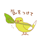 ルチノーセキセイの使いやすいスタンプ（個別スタンプ：26）