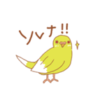 ルチノーセキセイの使いやすいスタンプ（個別スタンプ：30）