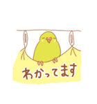 ルチノーセキセイの使いやすいスタンプ（個別スタンプ：31）