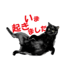 黒猫オレオくんリアルイラストスタンプ①（個別スタンプ：7）